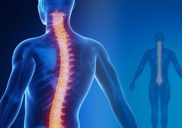 守护脊柱健康，正确的站、坐、卧姿是必要的！